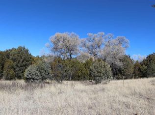 5103 Little Walnut Rd, Silver City, NM 88061