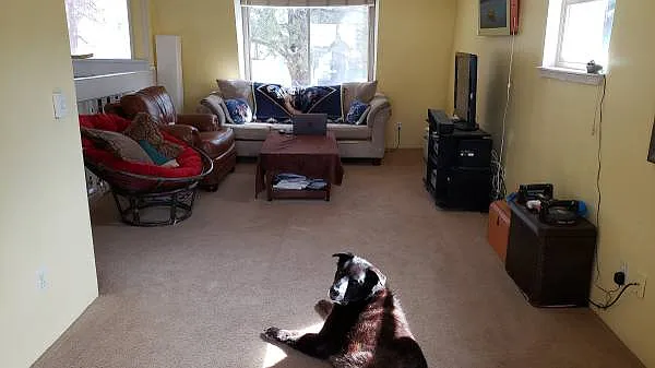 3 bed, 1650 sqft, $950 — Photo 3