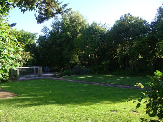 Amazing backyard