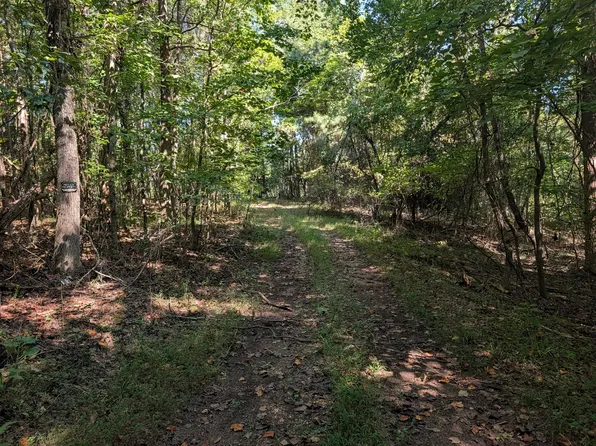 665 Lakewood Village Rd, Spring City, TN 37381