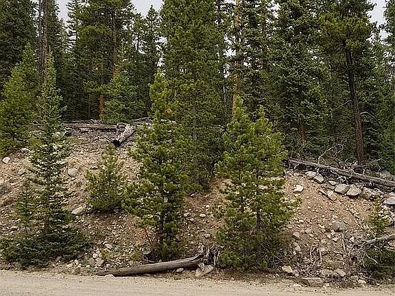 2nd image of 991 Bobcat Ln