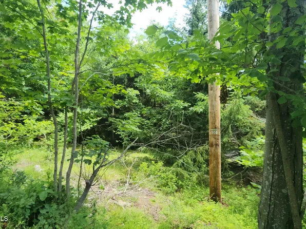 0 Route 32c, Windham, NY 12496