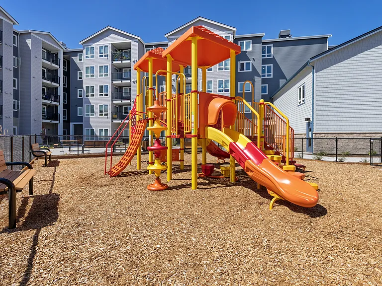 Play Area