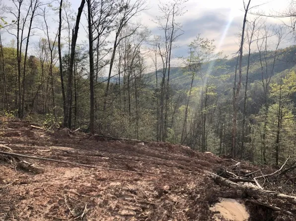 Early Branch Rd, Rogersville, TN 37857
