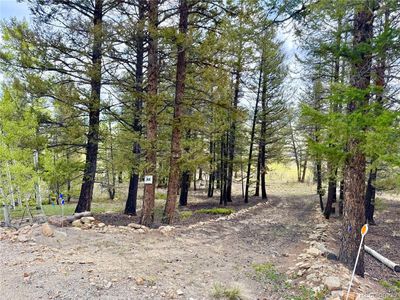 2886 Redhill Road LOT 062, Fairplay, CO, 80440