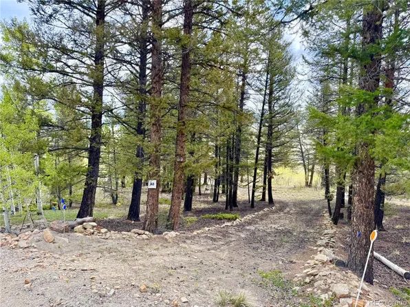 2886 Redhill Road LOT 062, Fairplay, CO 80440