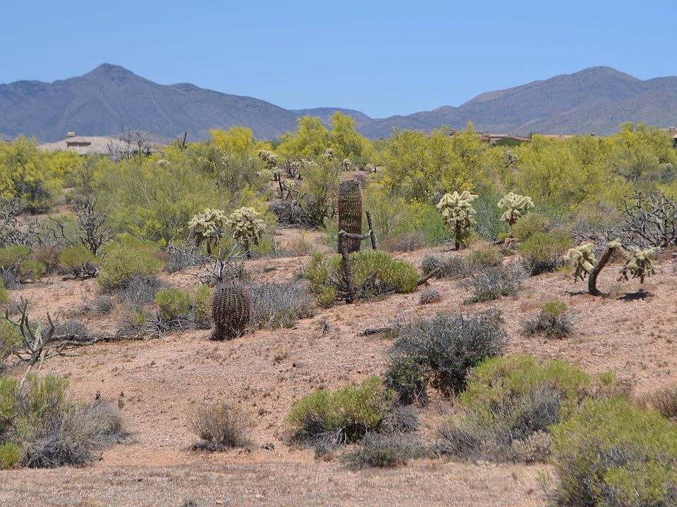 1st image of 36755 N LONE MOUNTAIN Parkway #Not Numbered
