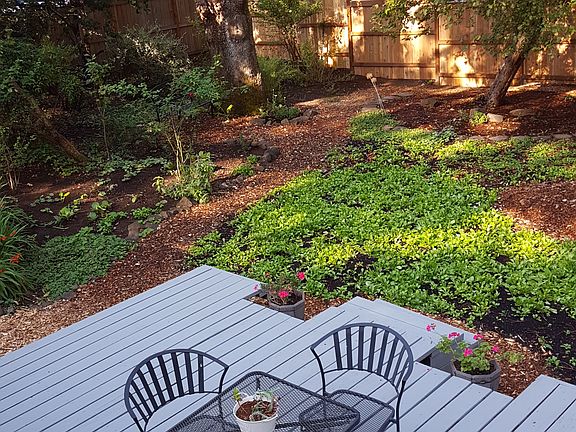 Lush but easy care yard