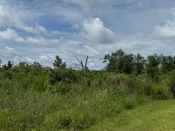 0 Wright Rd, Naylor, GA 31641