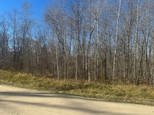 Crest Ct NE, Bemidji, MN 56601