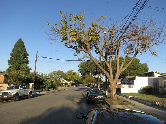 4th image of 11650 209th St