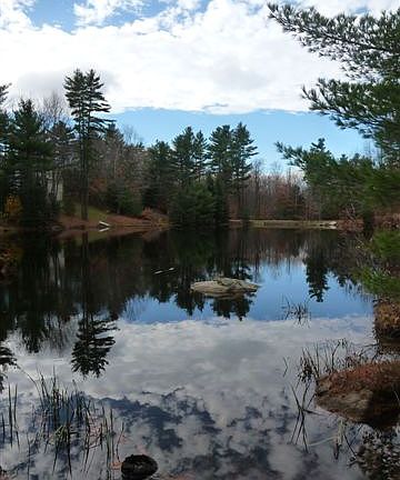 Trout Pond