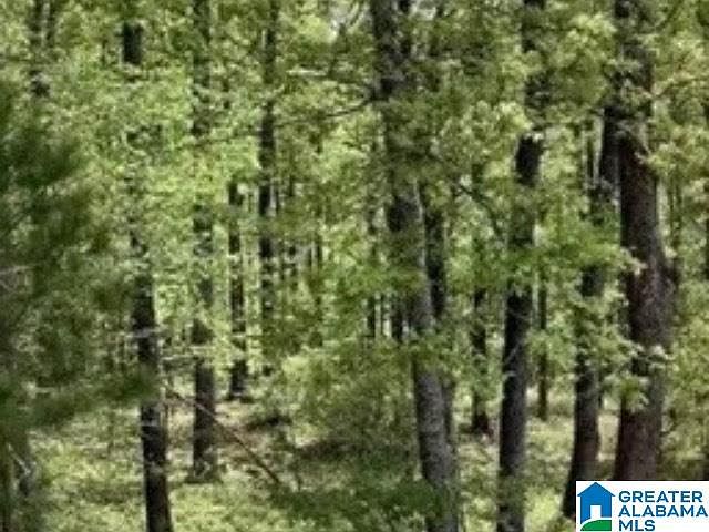 2nd image of 405 Gray Fox Rd #21