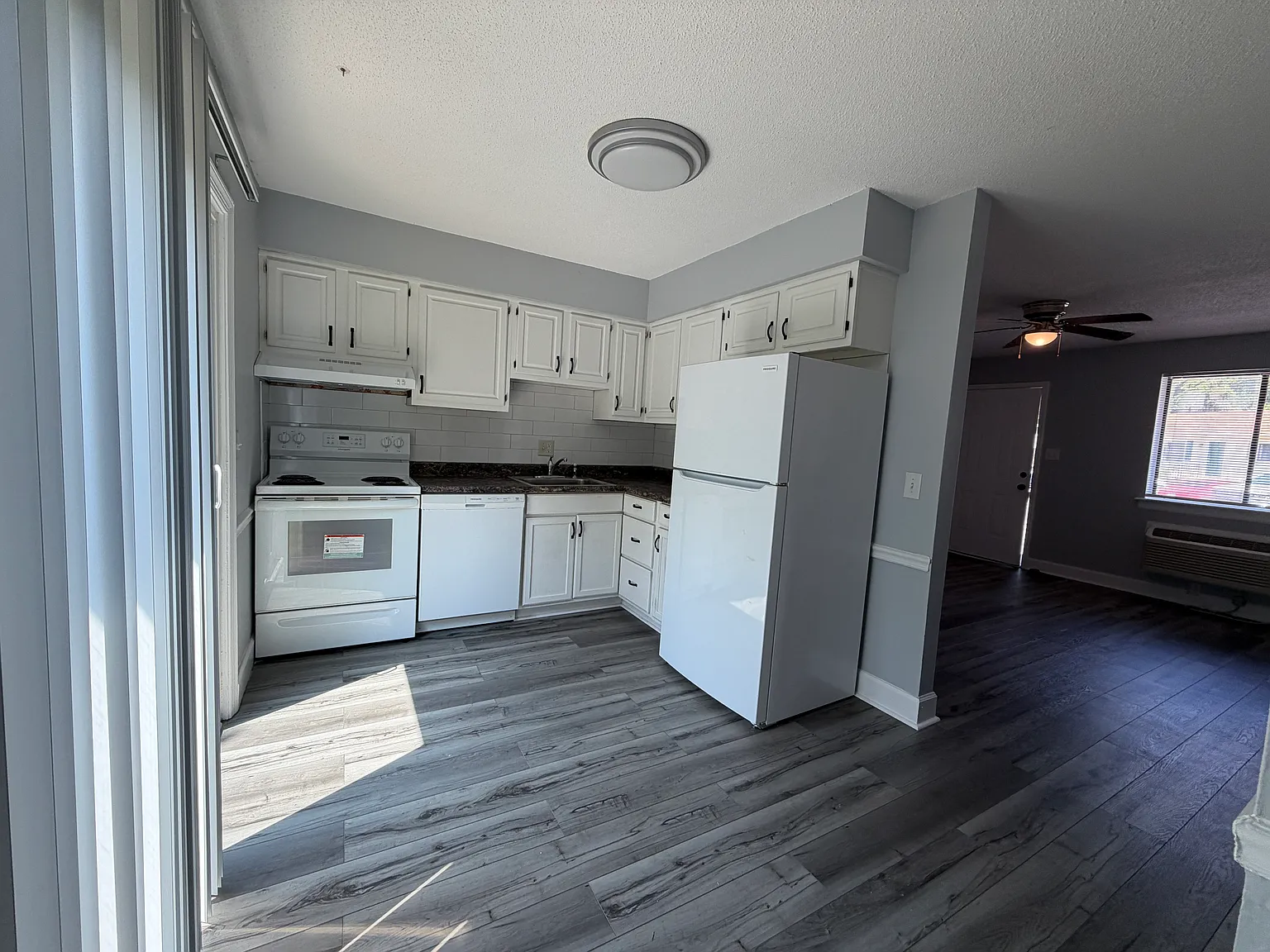 1 bed, $895 — Photo 4