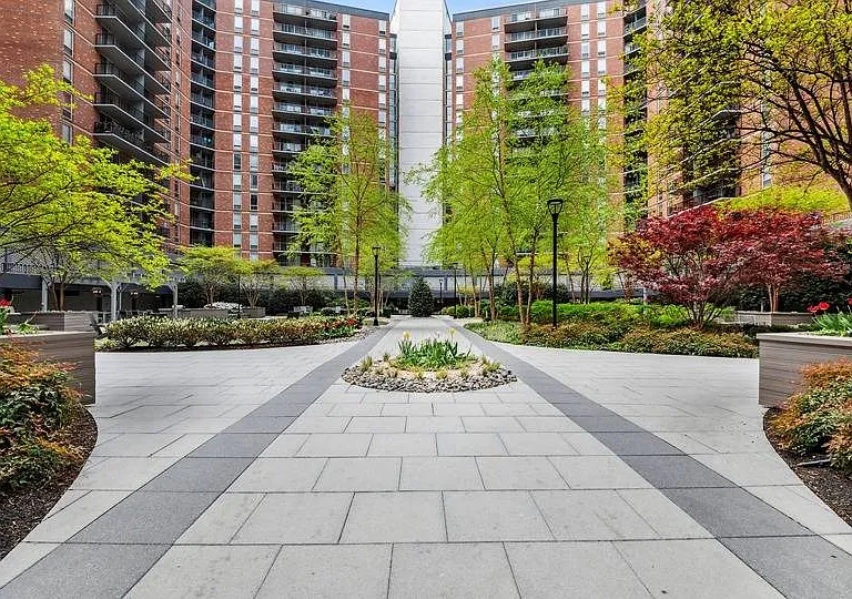 Arrive Silver Spring — Photo 78