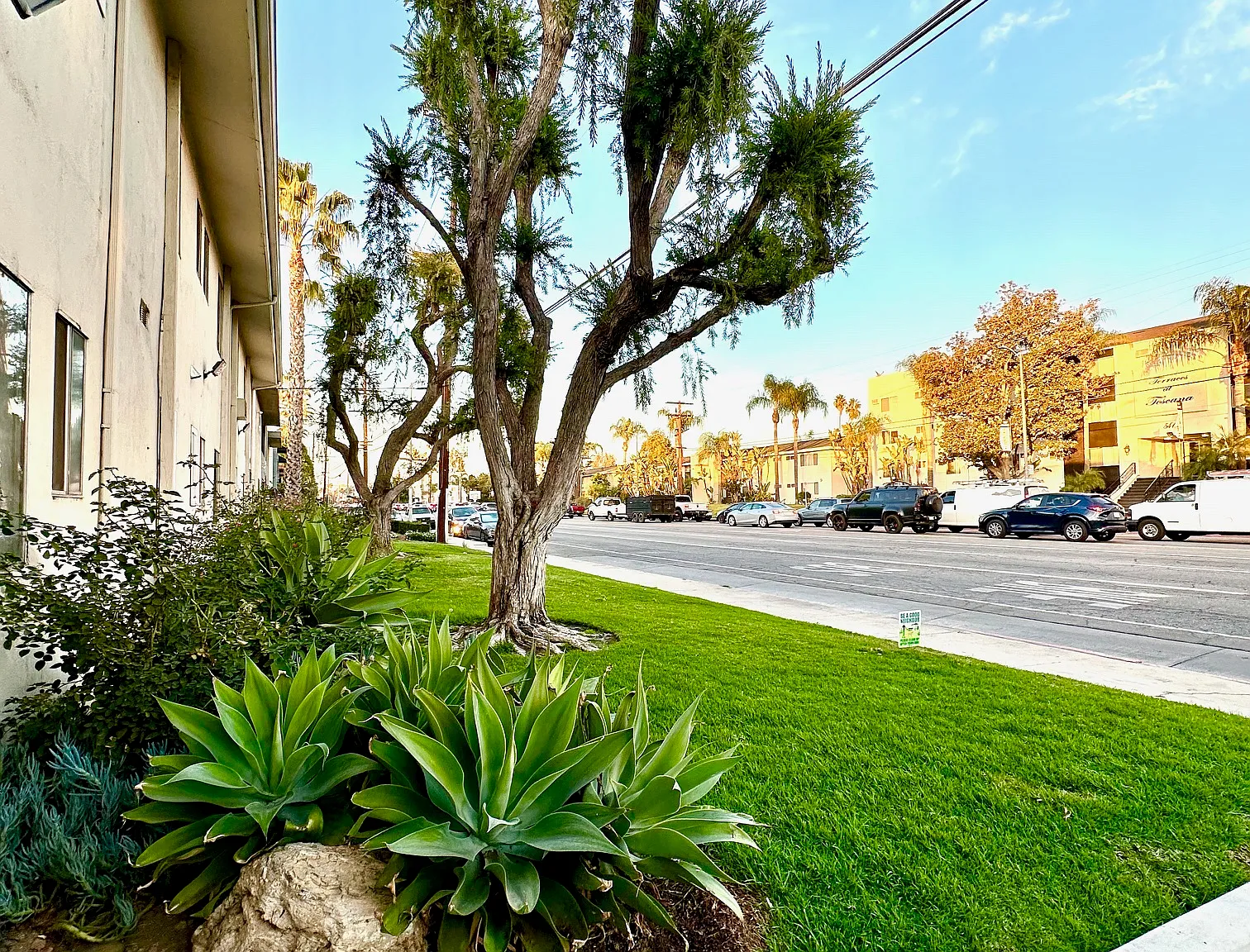 Kingston Apartments — Photo 2