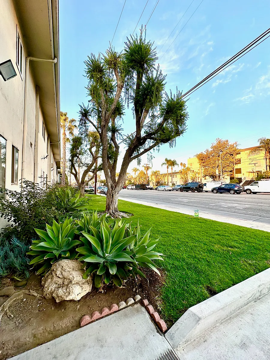 Building Photo - Kingston Apartments