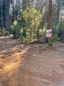 1935 Moody Ridge Rd, Alta, CA, 95701