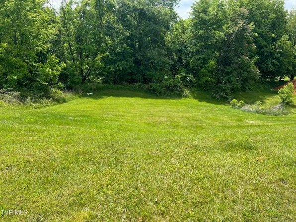 154 Laurel Cyn, Johnson City, TN 37615