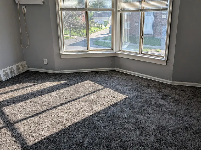 New carpet