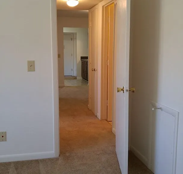 301 Piedmont St — Photo 10