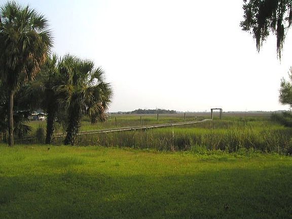 Marsh and River View