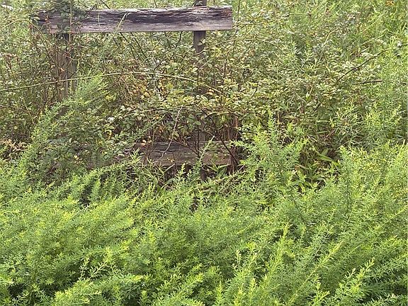 5th image of 9622 E Birch Road