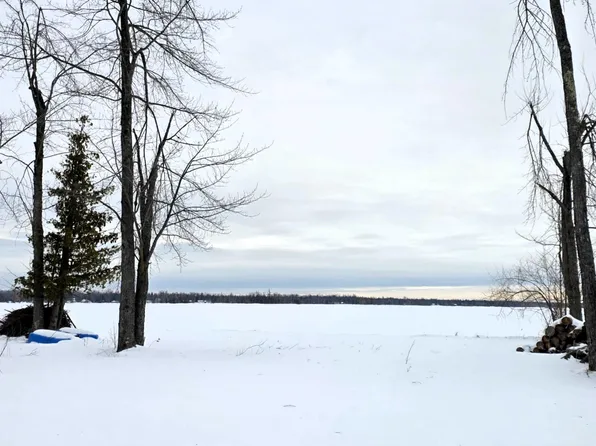 13491 Eltony Ln, Posen, MI 49776