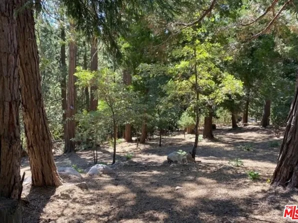 0 Grass Valley, Lake Arrowhead, CA 92352