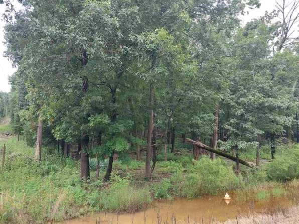 0 W Lacon Rd, Falkville, AL 35622