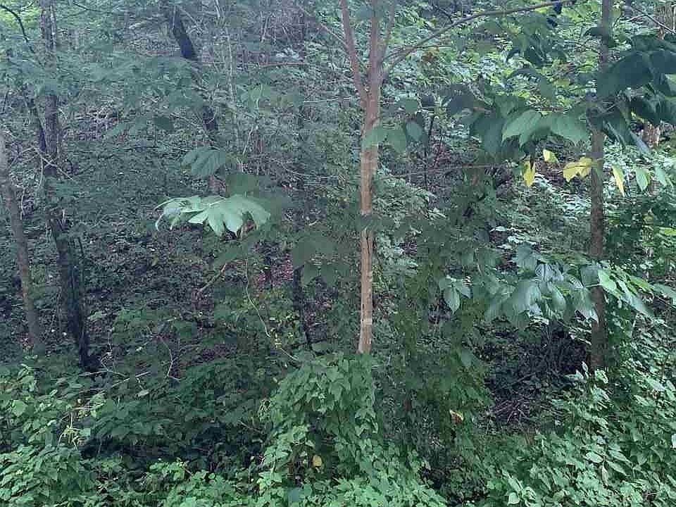 1st image of 34 Little Brook Way Lot 34