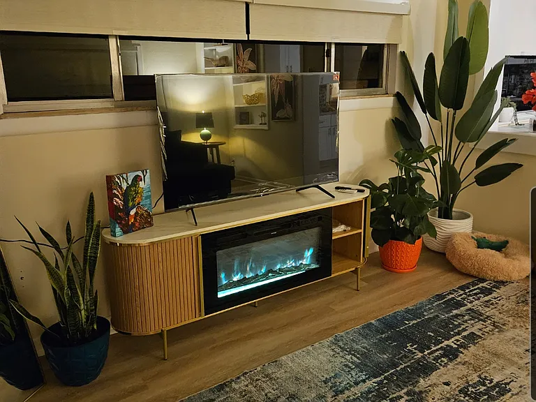 221 Condict Dr #5 — Photo 7