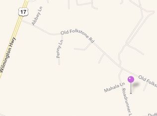 175 Roadrunner Ln, Sneads Ferry, NC 28460