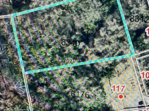 Tbd Cedar Street, Rockingham, NC 28379