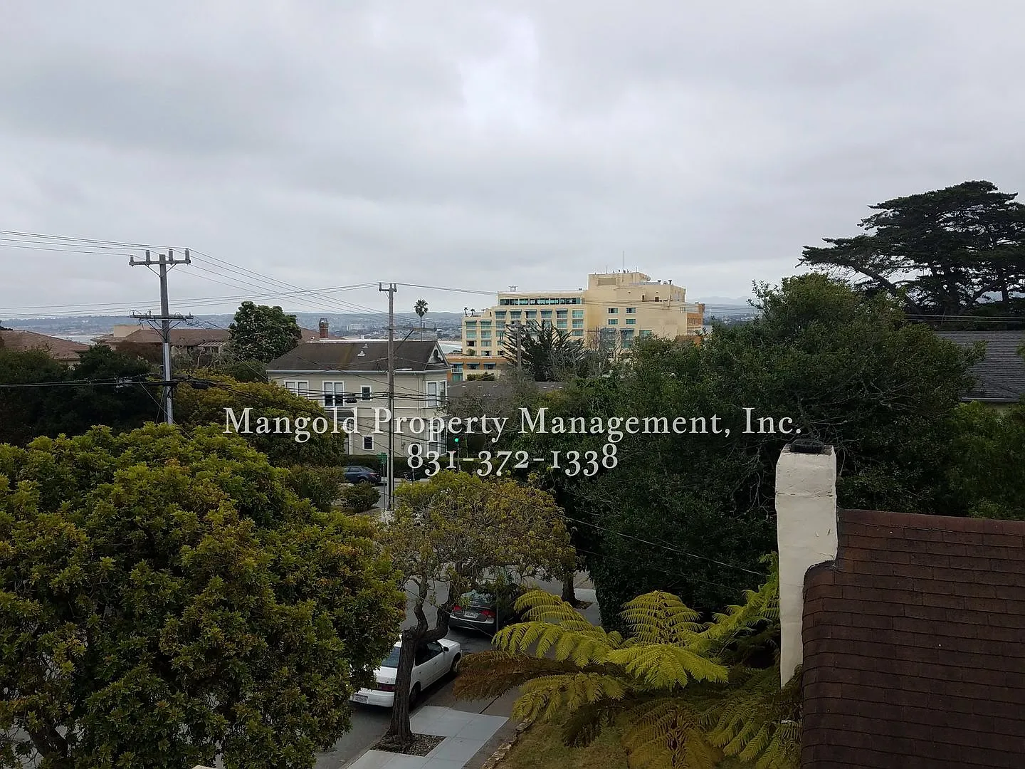 599fran — Photo 3