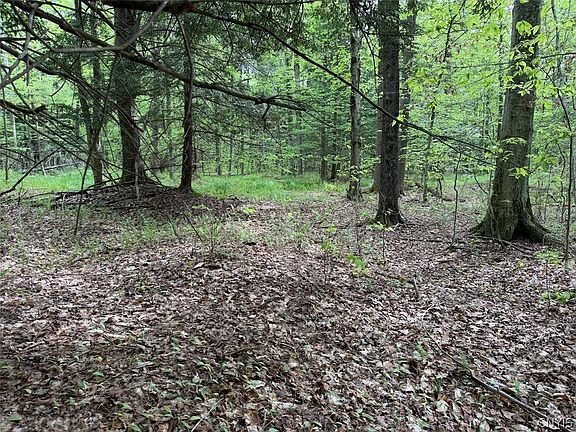 4th image of Kellogg Hill Rd