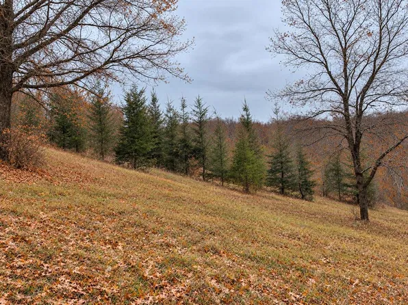 70 AC HARRIS STREET, La Farge, WI 54639