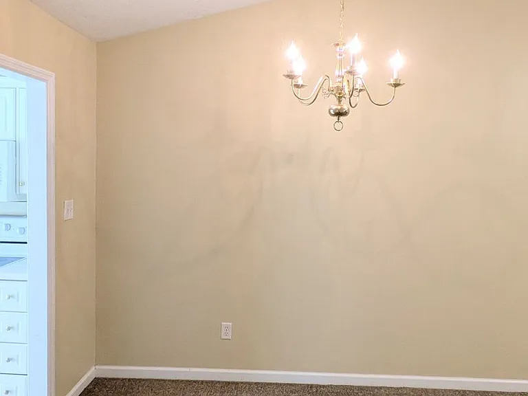 407 Flowing Creek Dr — Photo 8