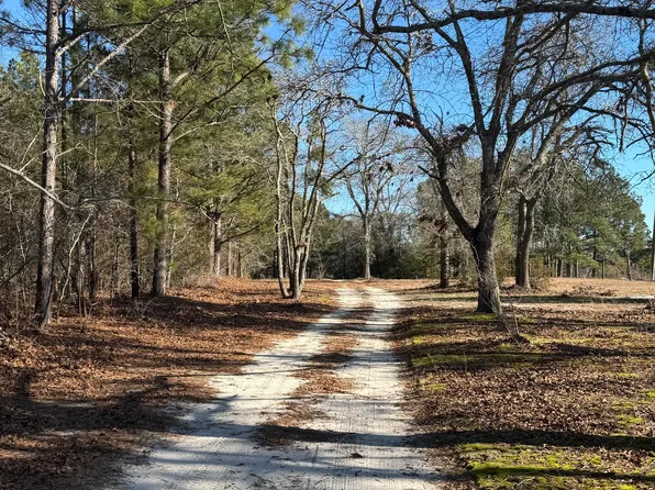 490 Springhill Church Road, Hamlet, NC 28345