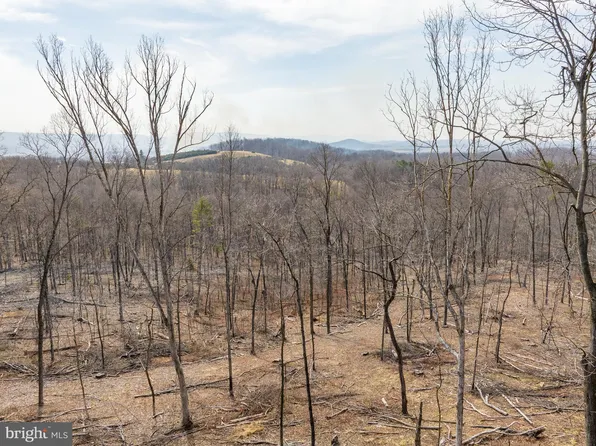 0 Mockingbird Ln Lot 21, Mount Jackson, VA 22842