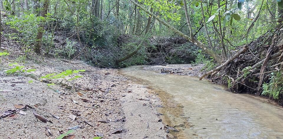 1st image of /hwy Wicksburg #123
