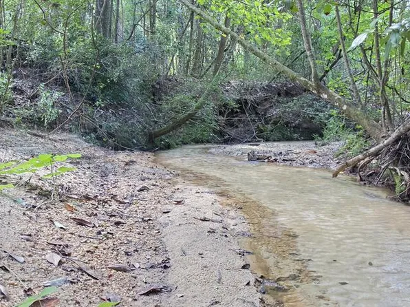 /hwy Wicksburg #123, Newton, AL 36352