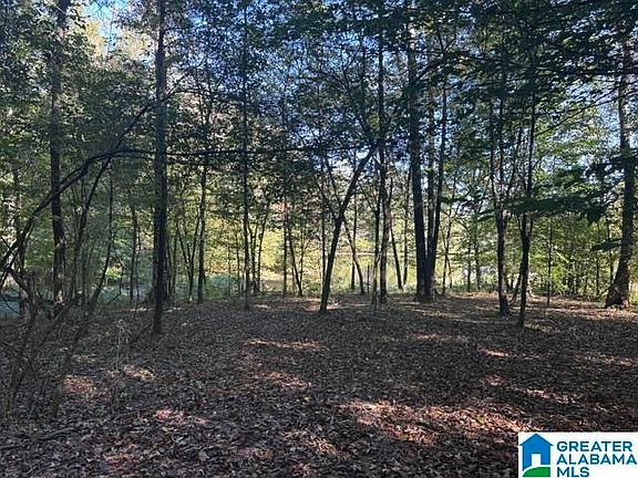 2nd image of 2479 Parsons Loop Rd #0