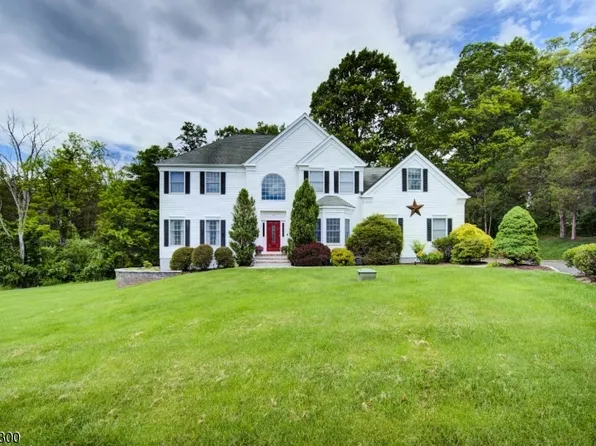 16 Ramshorn Rd, Alexandria Twp., NJ 08848