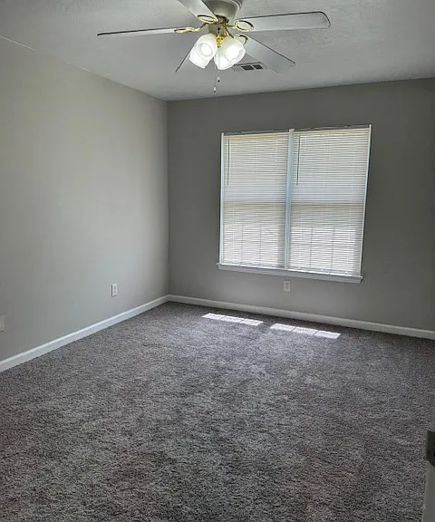 4611 Marthas Way — Photo 10