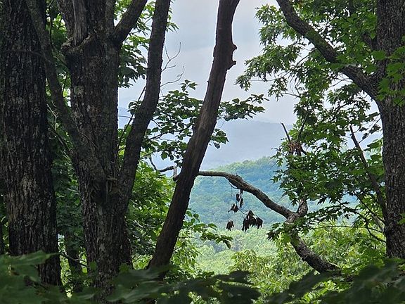 3rd image of 7 Scouts Overlook Ln