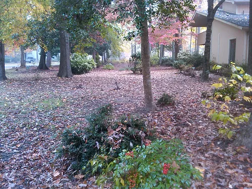 4852 Rosewell Dr Photo 1 4852 Rosewell Dr Photo 1