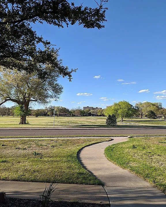 View from front porch.