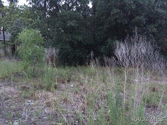 2nd image of 2531 W Cypress Dr