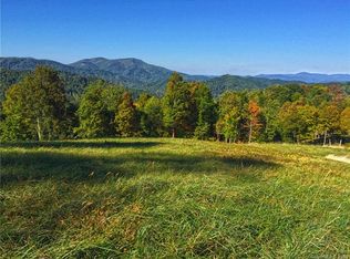 1001 Hawks View Dr, Hot Springs, NC 28743